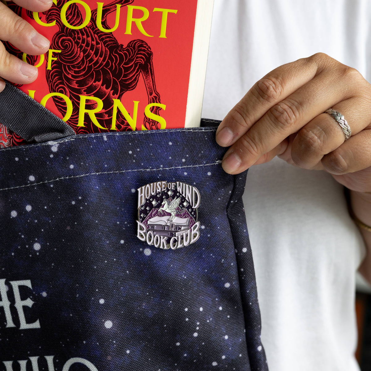 INDIE EXCLUSIVE | House of Wind ACOTAR Enamel Pin